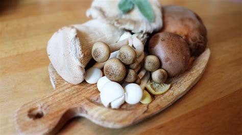 Mushrooms And Gout Are Mushrooms Bad For Gout