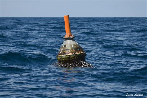 Un Hombre Sobrevive 14 Horas En El Océano Pacífico Aferrado A La Basura Del Mar