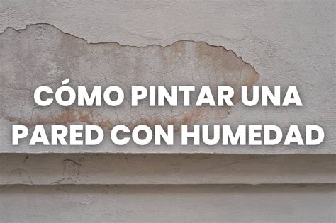 C Mo Pintar Una Pared Con Humedad Mejores Tips Sacosa