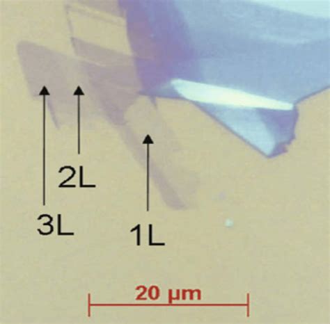 Optical Microscopy Image Of Single Double And Triple Layer Graphene Download Scientific