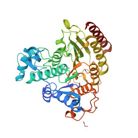 RCSB PDB - 7JVU: Crystal structure of human histone deacetylase 8 ...