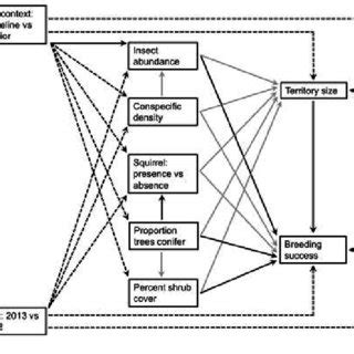 Global Path Model Depicting Direct And Indirect Relationships Between