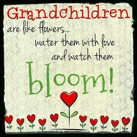 Grandchildren | Grandkids quotes, Quotes about grandchildren ...