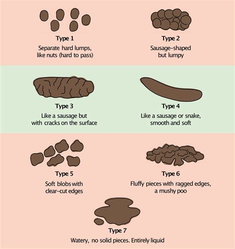 Ibs Poo Chart Bristol Stool Chart For Ibs Ibs Clinics