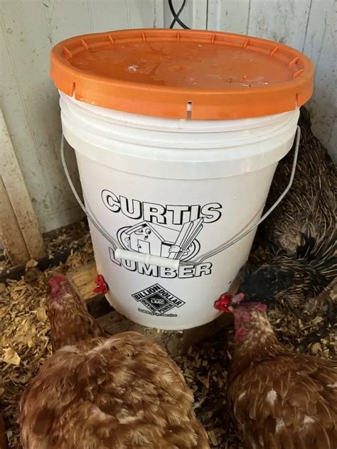 How To Make A Diy Heated Chicken Waterer Tree Farm Design Co