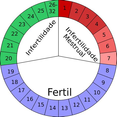 Ritardo Mestruale Tutte Le Possibili Cause