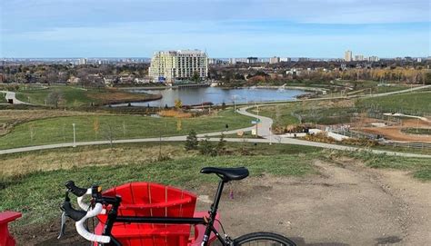 downsview park citydays