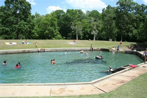 Blue Springs State Park In Dothan Al Alabama Vacation Alabama Travel