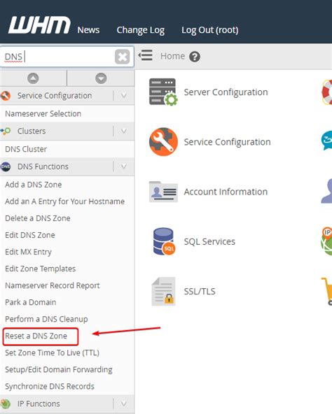 Reset A DNS Zone Hostwinds