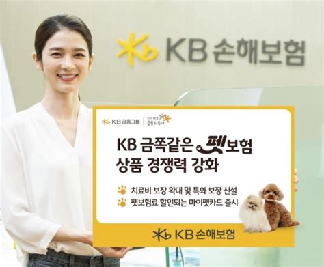 Kb손해보험 반려동물 3대 질환 보장 확대 뉴스인사이드