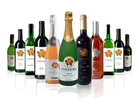 Vinsura Winery Private Limited Vinsura Vineyards Vinsura Winery