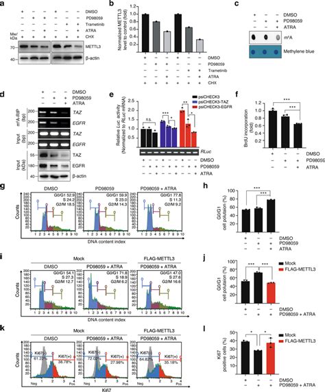 Combinatorial Treatment With Meki And Atra Reduced The M⁶a Dependent