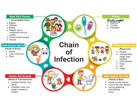 Chain Of Infection Worksheet