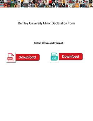 Fillable Online Bentley University Minor Declaration Form Bentley