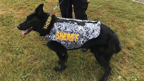 Macomb County Sheriffs K9 Officers Receive New Body Armor Vests Cbs