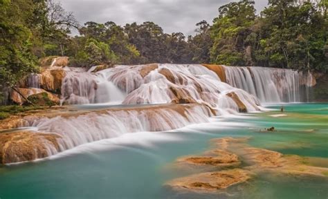 Chiapas Cascadas De Agua Azul Cl Sico Imperdible En La Selva De