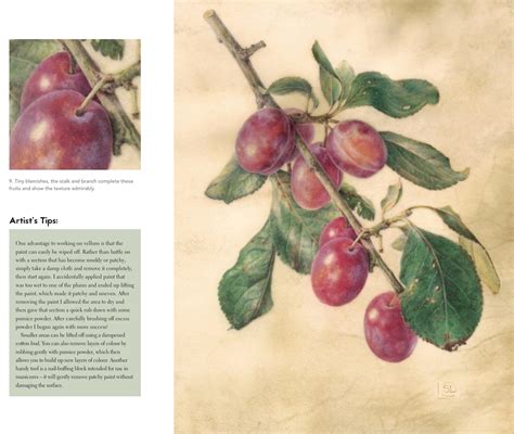 Sba Books Society Of Botanical Artists