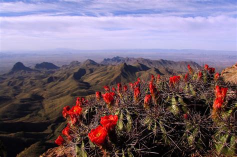 14 Tremendous National Parks in Texas » The Parks Expert