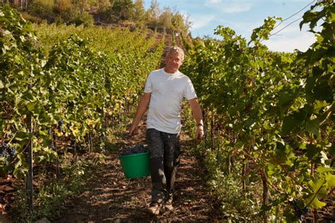 Weingut Hofl Nitz M Hubauer Gmbh