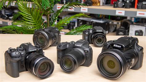 The 6 Best Cameras For Wildlife Photography - Winter 2025 - RTINGS.com