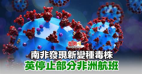 南非發現新變種毒株 英停止部分非洲航班 新型冠狀病毒 國際 2021 11 26 光明日报