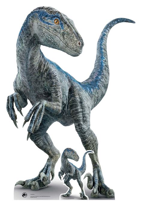 Jurassic World Blue Raptor Plush Universal Orlando Atelier Yuwaciaojp