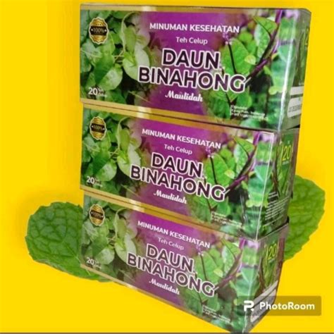 Teh Celup Daun Binahong Teh Herbal Daun Binahong Isi Kqntong