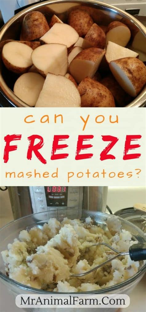 Can You Freeze Mashed Potatoes? A Food Preservation Guide