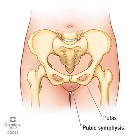 Hip And Knee Surgery Hospital Haq Orthopaedic