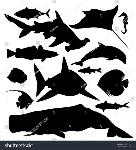 Ocean Fish Vector Silhouette - 132871994 : Shutterstock