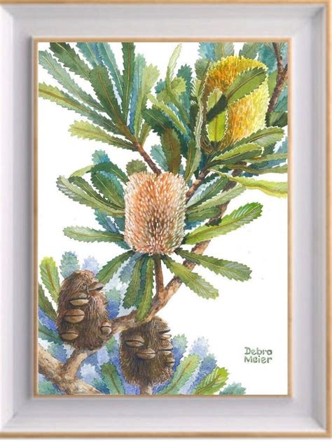 Banksia Old Man Cones Print By Debra Meier Art Australian Native