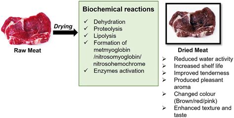 Frontiers A Comprehensive Review Of Drying Meat Products Off