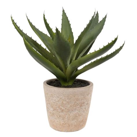 Aloe Vera Artificielle Et Pot En Ciment Maisons Du Monde