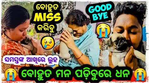 ବୋହୁତ ମନ ପଡ଼ିବୁରେ ଧନ 😭 ସମସ୍ତେ କାନ୍ଦିଲେ 😓 Odia Bhaina Vlogs Odia Vlogs Youtube