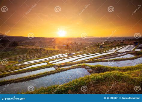 Beautiful Sunrise at Bali Rice Terraces during Sunrise. Rice Fields of ...