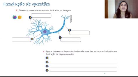 Atividades Sobre Sistema Nervoso 6 Ano Com Gabarito Edukita