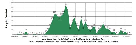 Apalachee Bay Fishing (June 30, 2023 Update)