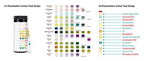 How To Manufacture Urine Test Strips? How Urine Test Atrips Are Made?