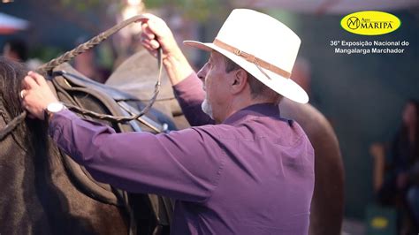 Agromaripa Exposição Nacional Mangalarga Marchador 2017 YouTube