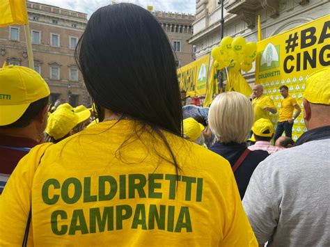 Cinghiali Coldiretti Basta Incidenti E Danni Subito Abbattimenti