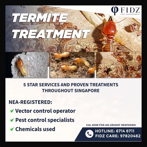 Termites Soil Treatment And Renovation Termites Prevention Furniture