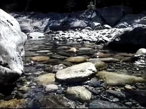 Wanking And Cumming Outdoor XVIDEOS