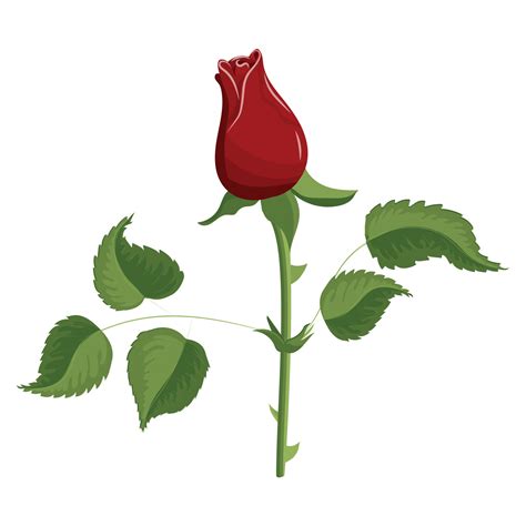 Red rose, bud in a realistic style. Flower on a stem with leaves ...