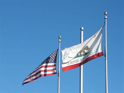 2008 California Bear Flag Foto | Bear Flag Museum | California bear ...