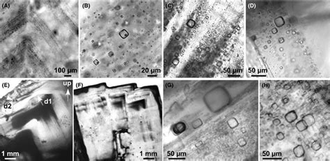 Primary Fluid Inclusions In Halite Precipitated Acid Saline Shallow