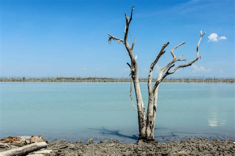 Spr Informa Impactar Escasez De Agua En M Xico Hacia