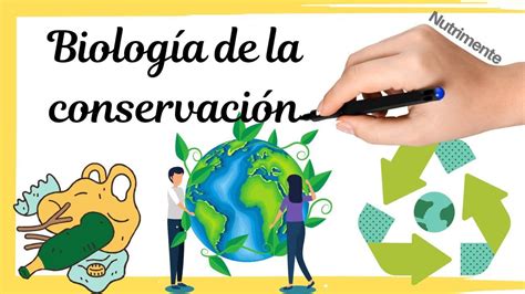 Los Descubrimientos M S Recientes En Biolog A De La Conservaci N