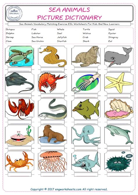 Sea Animals Esl Printable English Worksheets And Exercises For Kids