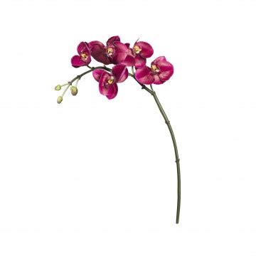 Fleur Artificielle Orchid E Phalaenopsis Pas Cher Extradingue