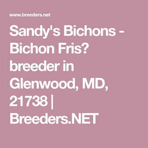 Sandy S Bichons Bichon Fris Breeder In Glenwood Md Breeders Net